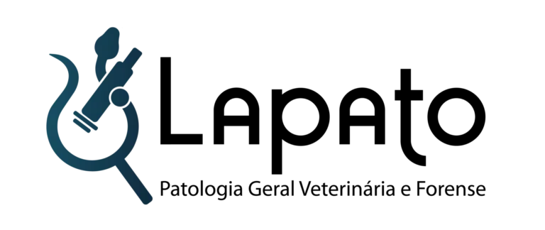 cropped-Prancheta-41-scaled-1-2048x863